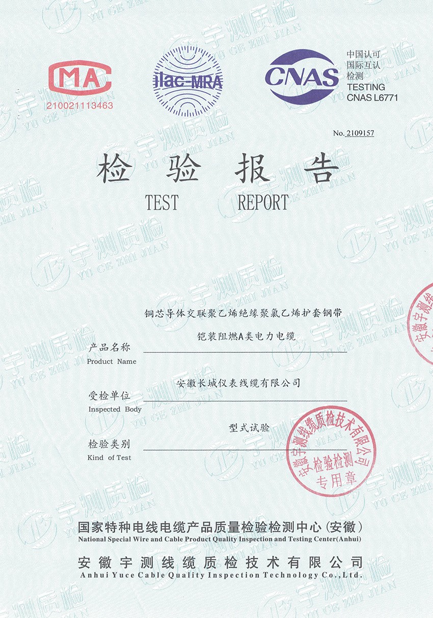檢驗報告